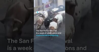 Spain’s bull run festival goes political | DW News