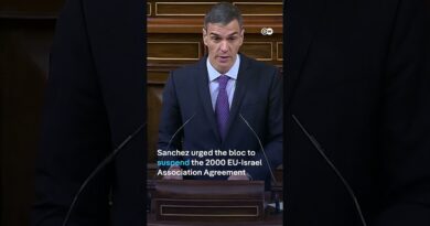 Spanish PM condemns ‘catastrophic situation of genocide’ in Gaza | DW Shorts