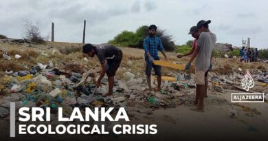 Sri Lanka faces new ecological crisis as MSC Elsa 3 debris spreads