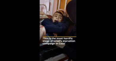 ‘Starvation is a war crime’, UN expert blasts Israel | AJ #shorts