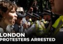 Supporters of banned Palestine Action group arrested at London protest