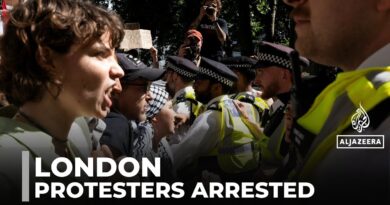 Supporters of banned Palestine Action group arrested at London protest
