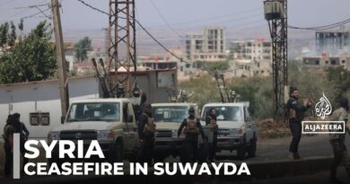 Syria announces ceasefire in Druze city of Suwayda after deadly clashes