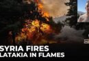 Syria wildfires: Emergency workers battle flames in Latakia province