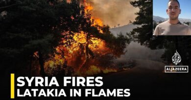 Syria wildfires: Emergency workers battle flames in Latakia province