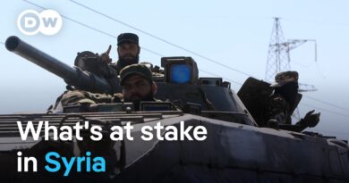 Syrian government says fighting ‘halted’ in Sweida: Will it last? | DW News