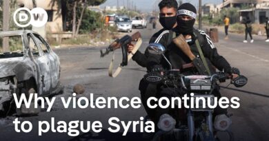 Syrian leader says army deploying to Sweida following ceasefire collapse | DW News
