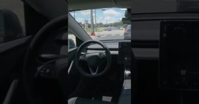 Tesla car drives itself to new owner’s home