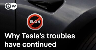 Tesla: Steepest drop in quarterly revenue in over 10 years | DW News