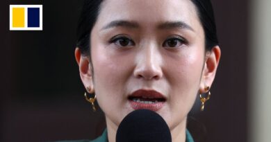 Thai Prime Minister suspended over leaked phone call
