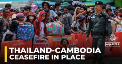 Thailand and Cambodia ceasefire holds after days of deadly border clashes