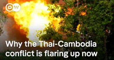 Thailand says it agrees in principal to ceasefire proposal as tens of thousands flee | DW News