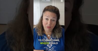 The Changing Role of Stablecoins | Raoul Pal and Sandy Kaul