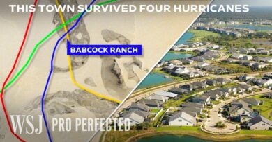 The Engineering Secrets Behind Hurricane-Proof Cities | WSJ Pro Perfected