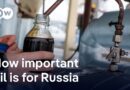The impact of secondary sacntions and US tariffs on Russia, China and India | DW News