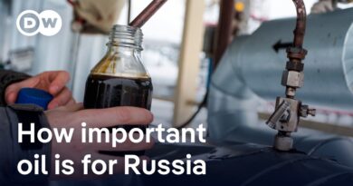 The impact of secondary sacntions and US tariffs on Russia, China and India | DW News