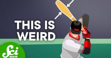 The MIT Physicist Who Broke Baseball