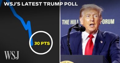 This Trump Poll Reveals a Number That Should ‘Scare’ Democrats | WSJ