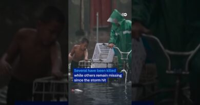 Thousands displaced in the Philippines in the aftermath of Wipha | DW News