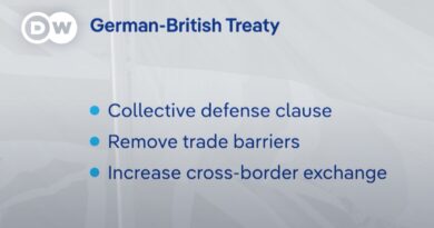 To what extent can the first bilateral UK-German friendship treaty undo Brexit? | DW News
