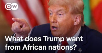 ‘Trade over aid’ Key takeaways from Trump’s meeting with African leaders | DW News