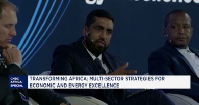 Transforming Africa: Multi-sector Strategies for Economic and Energy Excellence