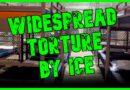 ‘TREATED LIKE DOGS’: Widespread TORTURE Reported At ICE Facilities | The Kyle Kulinski Show