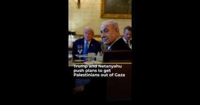 Trump and Netanyahu push plans to get Palestinians out of Gaza | AJ #shorts
