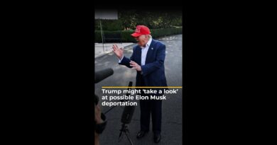 Trump might ‘take a look’ at possible Elon Musk deportation | AJ #shorts