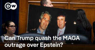 Trump takes aim at MAGA supporters calling for release of Epstein documents | DW News