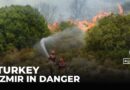 Turkiye wildfires: At least two dead as fires burn for eighth day