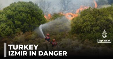 Turkiye wildfires: At least two dead as fires burn for eighth day