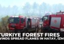 Turkiye’s wildfire season intensifies; crews struggle as winds spread flames in Hatay, İzmir