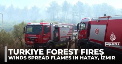 Turkiye’s wildfire season intensifies; crews struggle as winds spread flames in Hatay, İzmir