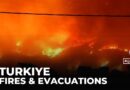 Turkiye’s wildfires force evacuations as emergency crews battle blazes in Hatay and Izmir