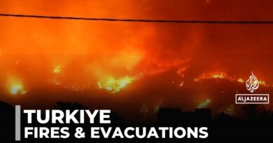 Turkiye’s wildfires force evacuations as emergency crews battle blazes in Hatay and Izmir
