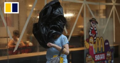 Typhoon Wipha: Hong Kong emerges with dozens hurt, tens of thousands of travellers frustrated