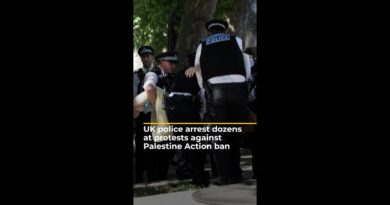 UK police arrest dozens at protests against Palestine Action ban | AJ #shorts