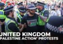 UK police arrest dozens at protests against Palestine Action ban