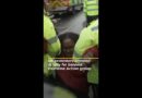 UK protesters arrested at rally for banned Palestine Action group | AJ #shorts