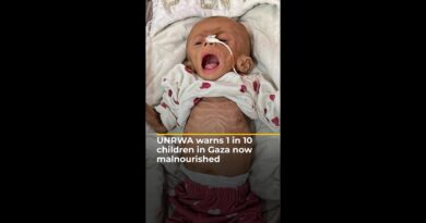 UN agency sounds alarm as 1 in 10 children in Gaza now malnourished | AJ#shorts