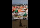 UN court: Climate crisis is ‘existential threat’ | #ajshorts