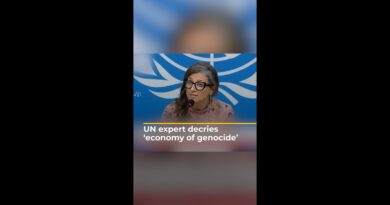 UN expert rails against ‘economy of genocide’ | AJ #shorts