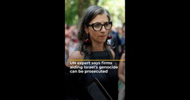 UN expert says firms aiding Israel’s genocide can be prosecuted | AJ #shorts