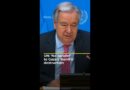 UN: ‘No parallel’ to Gaza’s ‘horrific’ destruction | #ajshorts