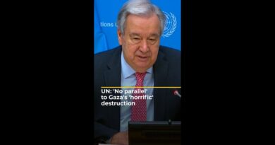 UN: ‘No parallel’ to Gaza’s ‘horrific’ destruction | #ajshorts
