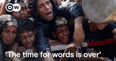 UN says one-third of Gazans go without food for days on end | DW News