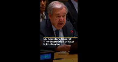 UN Secretary-General: ‘The destruction of Gaza is intolerable’ | AJ #shorts