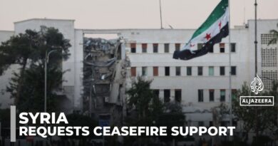 UN security council meeting on Syria: Members asked to support its territorial integrity