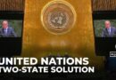 UN summit pushes for two-state solution amid US, Israel boycott